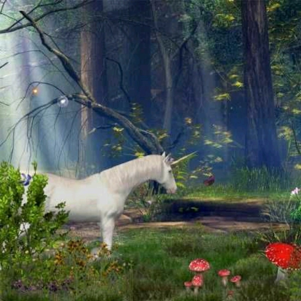 Meet your Posher, Giselle